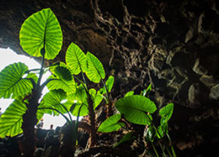 Fotoreise Lanzarote - Grotten und Höhlen